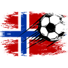 Norway flag football used