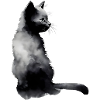 Chat à l’aquarelle
