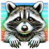 Waschbär