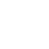 Steering Wheel Car Icon