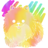 Pomeranian Zwergspitz Hund
