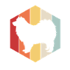 Zwergspitz Pomeranian