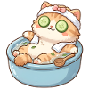 Cat at Spa Wellness