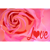 Rosenliebe Farbexplosion Love