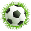 Lush Grass Soccer Ball Art