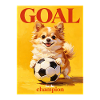 Become a football champion