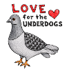 Love for the Underdogs Pigeon