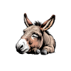 Donkey Sayings Donkey Funny Donkey Gift