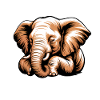 Elephant Sayings Elephant Funny Elephant Gift