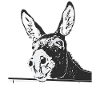 Klartext