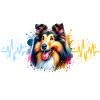 Longhair Collie Heartline
