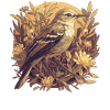 Oiseaux moqueurs Oiseaux moqueurs