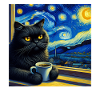 Black Cat Starry Night