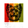 Yorkshire Terrier Yorkshire Terrier