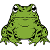 Green Frog Toad Gift Nature Lover