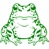 Green Frog Toad Gift