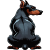 Doberman Doberman Owner Doberman Lovers
