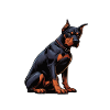 Nerv Mich Nicht Dobermann Dobermannbesitzer 