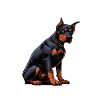 Don't Bother Me Dobermann Doberman Owner