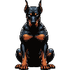 Doberman Doberman Owner Doberman Lovers