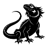 Bearded Dragon