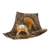 Eichhörnchen vorm Baum, Östliches Fuchshörnchen