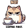 NO! Coffee First! Cute Cat.