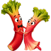 Rhubarb vegetables