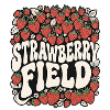 Champ de fraises rétro