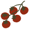 Tomato Cluster on Vine Design
