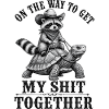 Cowboy raccoon on turtle