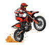 Motocross Sprung Dirtbike Action