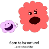 Natural Killer Cell