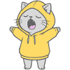 Cat in Hoodie