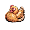 Chicken Sayings Chicken Funny Chicken Gift