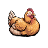 Chicken Sayings Chicken Funny Chicken Gift