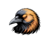 Crow Sayings Crow Funny Crow Gift
