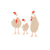 Hühnerflüsterer Huhn Hühnerhalter Hühner