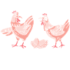 Hühnerflüsterer Huhn Hühnerhalter Hühner