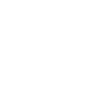Ornate Lion Head Illustration