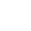 Lion Mandala Linework