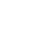 Ornate Lion Mandala Illustration