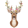 Hirsch