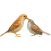 Motif Birds 1.1