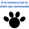 à_la_maison-_-c'est_le_chien_qui_commande