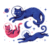 Astronauts Kitten Stars Planets