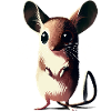 Springmaus