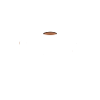 Strength Training Caffeine & Weights Bodybuilding Gym