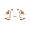 Strength Training Caffeine & Weights Bodybuilding Gym
