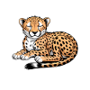Cheetah Sayings Cheetah Funny Cheetah Gift